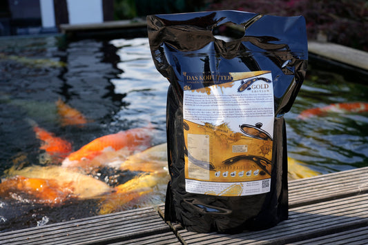 DAS KOIFUTTER GOLD – wenn das Beste nicht gut genug ist!