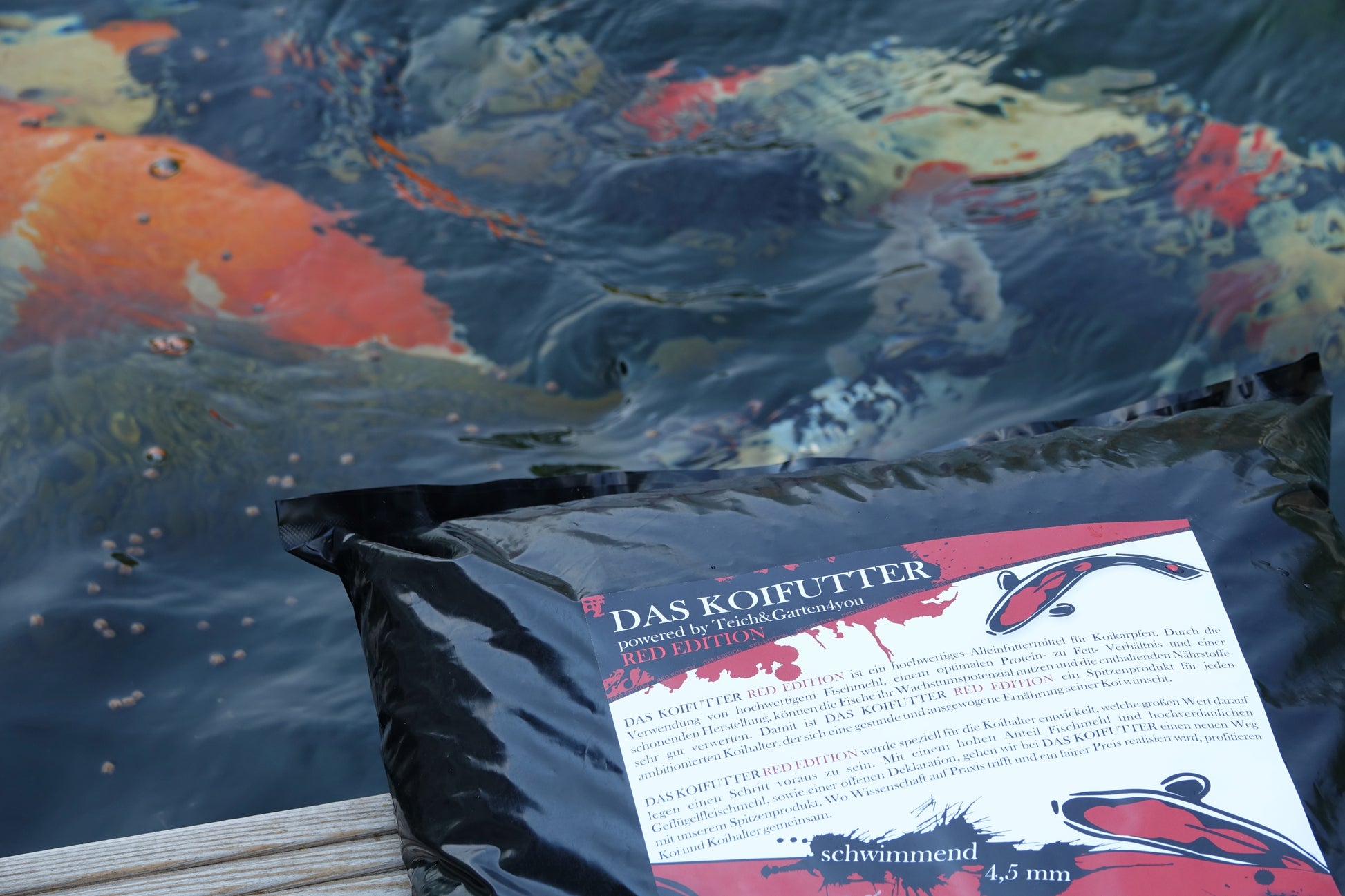 Koifutter, koi futter, koifutter kaufen, koi ganzjahresfutter, koi winterfutter, koi wachstumsfutter, koi mikronährstoffe, koifutter für wachstum, koifutter günstig, koifutter fischmehl, koifutter jumbo koi, koifutter tosai, koifutter nisai, koifutter online kaufen, koifutter youtube, koi futter bestellen, koifutter preiswert, koifutter discount, koifutter rabatt, koifutter schwimmend, koi handfüterung, koi snacks, koi taler, koifutter riesentaler, koi leckerlies, koifutter für kinderkoifutter zahme koi, da