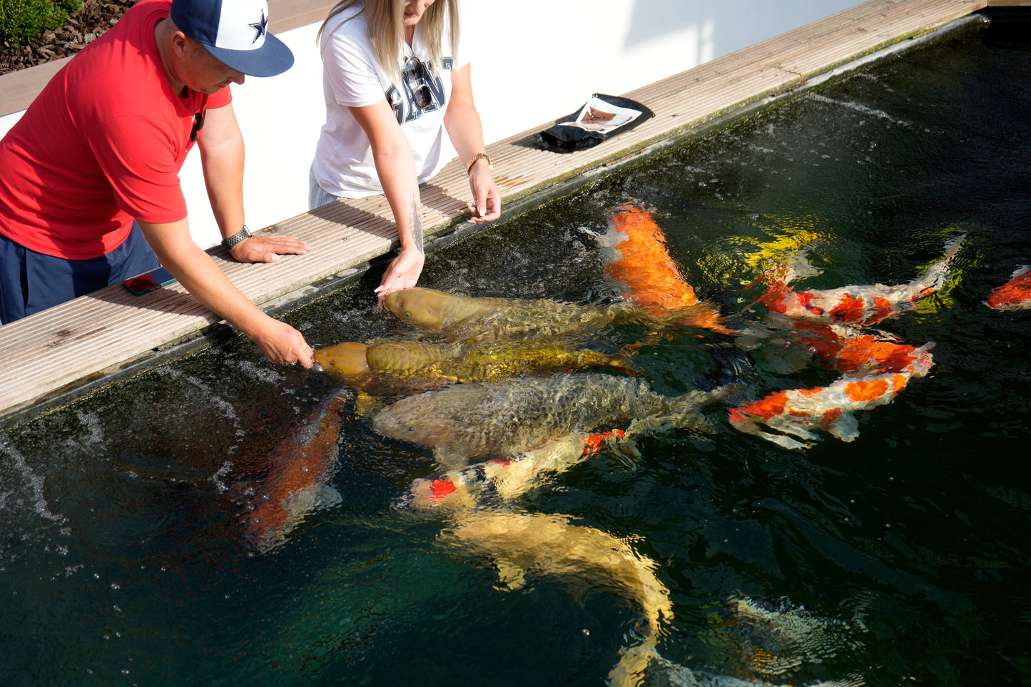 Koifutter, koi futter, koifutter kaufen, koi ganzjahresfutter, koi winterfutter, koi wachstumsfutter, koi mikronährstoffe, koifutter für wachstum, koifutter günstig, koifutter fischmehl, koifutter jumbo koi, koifutter tosai, koifutter nisai, koifutter online kaufen, koifutter youtube, koi futter bestellen, koifutter preiswert, koifutter discount, koifutter rabatt, koifutter schwimmend, koi handfüterung, koi snacks, koi taler, koifutter riesentaler, koi leckerlies, koifutter für kinderkoifutter zahme koi, da