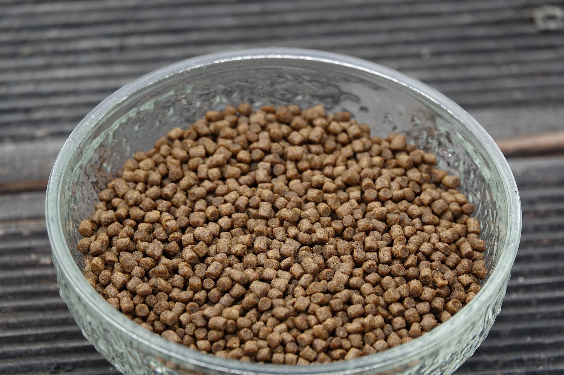 Koifutter, koi futter, koifutter kaufen, koi ganzjahresfutter, koi winterfutter, koi wachstumsfutter, koi mikronährstoffe, koifutter für wachstum, koifutter günstig, koifutter fischmehl, koifutter jumbo koi, koifutter tosai, koifutter nisai, koifutter online kaufen, koifutter youtube, koi futter bestellen, koifutter preiswert, koifutter discount, koifutter rabatt, koifutter schwimmend, koi handfütterung, koi snacks, koi taler, koifutter riesentaler, koi leckerlies, koifutter für kinderkoifutter zahme koi, d